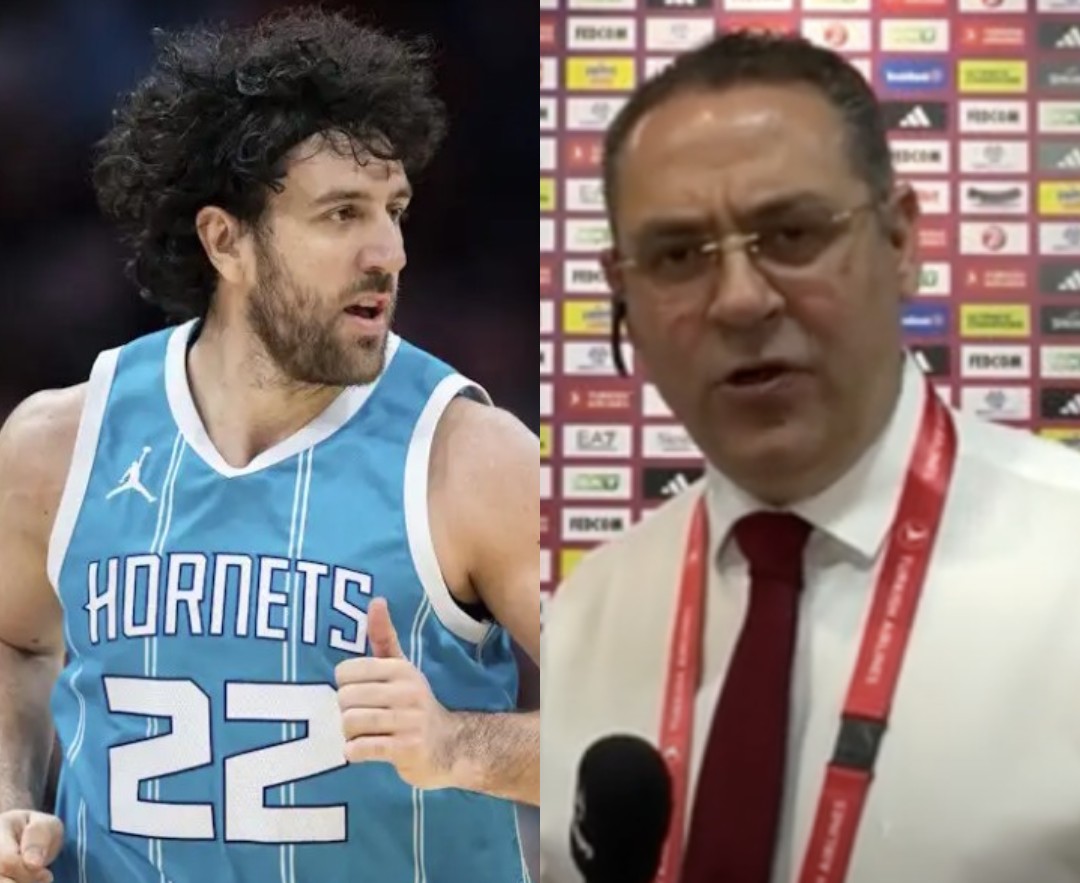 Αποκάλυψη Βαγγέλη Ιωάννου για Μίτσιτς!
