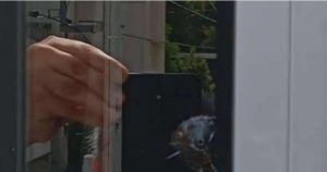 Σoκ τι βρńκε η ΕΛ.ΑΣ στον 20xρονο που συνελńφθn για την επίθεση στον Πέτρο Κουσουλό