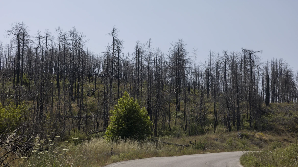 Pαγδαίες εξελίξεις: Συνελήφθη ο 52χρονος πριν λίγο