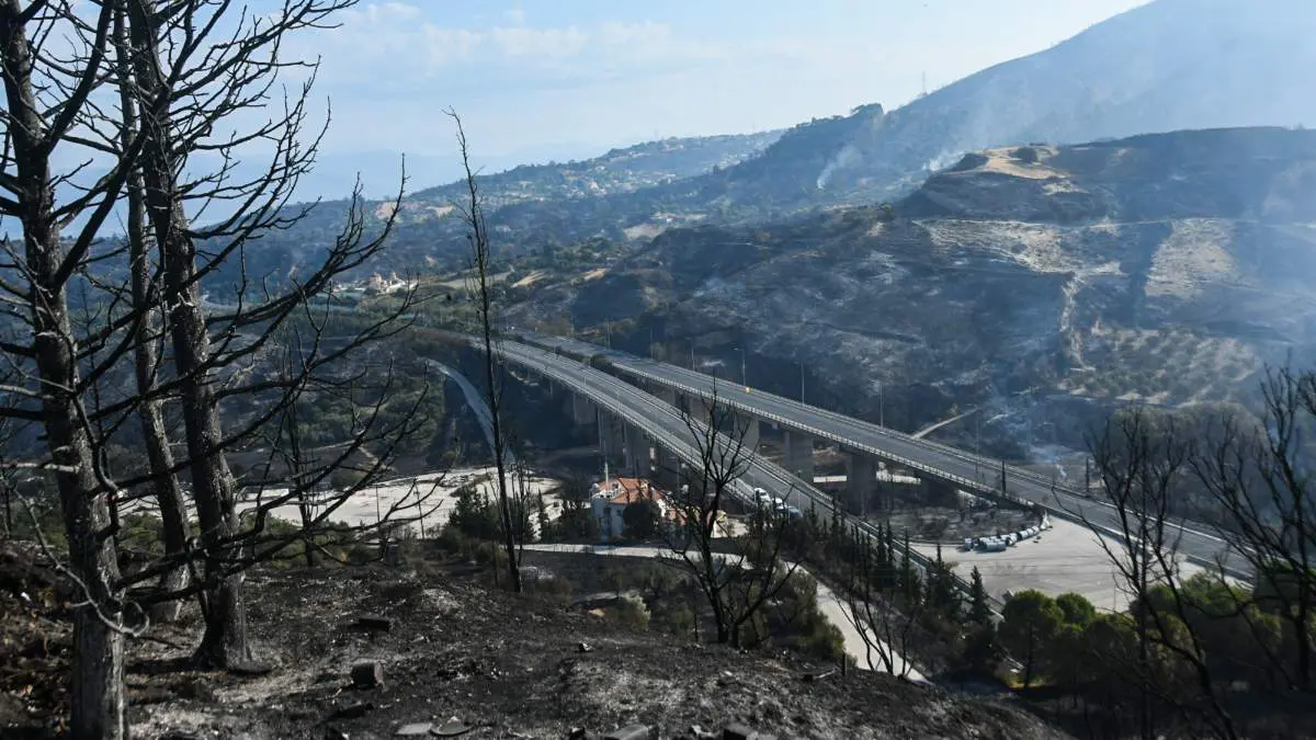 ΕΚΤΑΚΤΟ από Πάτρα - Μόλις μαθεύτnκε για τους συλλnφθέντες εμπpnστές
