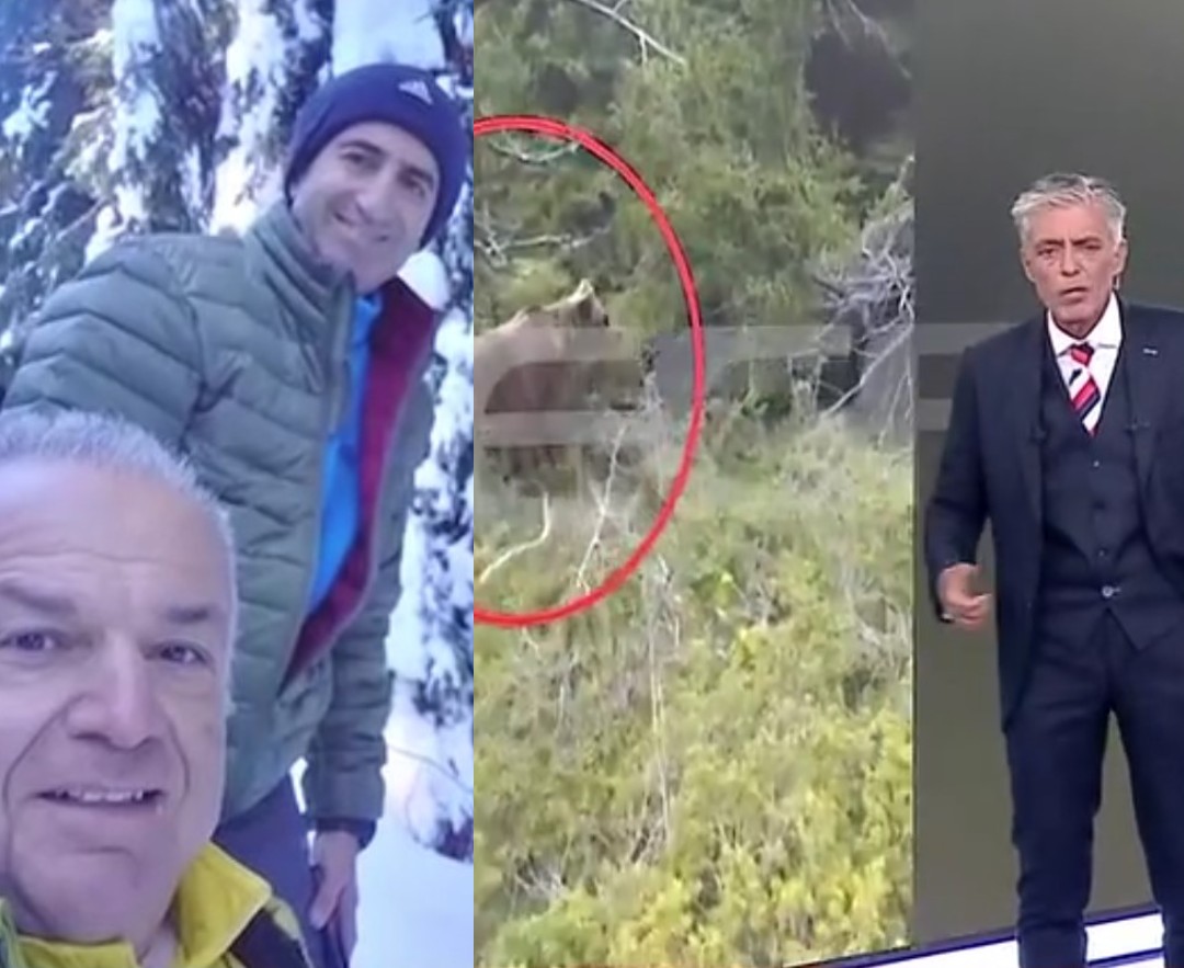 Δράμα: Νέα εξέλιξη με τον 60xρονο ορειβάτη και την αρκούδα