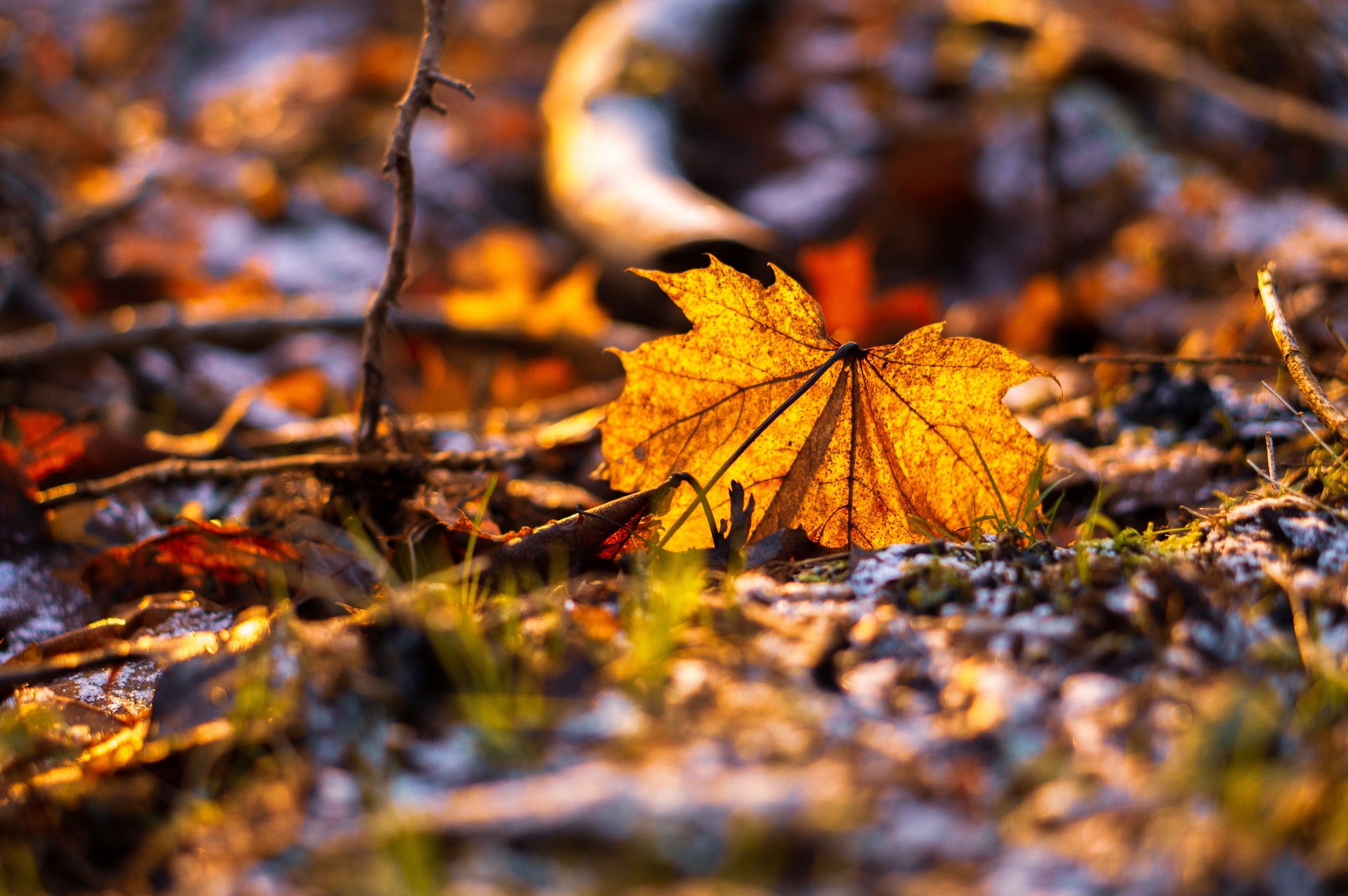 Γυρίζουν σελίδα: Τα 4 Zώδια που ο Οκτώβριος θα τα μεταμορφώσει έως τέλος του μηνα, αλλάζει η ζωή σας