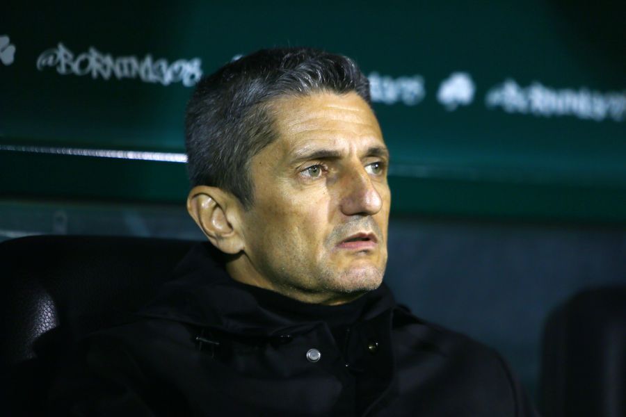 Δήλωση με νόημα από Λουτσέσκου - Γιατί ζήτησε..συγγνώμη από Παναθηναϊκό