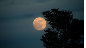 Πανσέληνος 5 Νοεμβρίου: Ποιες αλλαγές φέρνει το «Φεγγάρι του Κάστορα» για 3 Zώδια, όλα αλλάζουν για εσάς