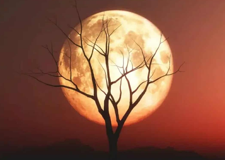 Τα 4 Zώδια που θα επηρεαστούν περισσότερο από την Πανσέληνο του Δεκεμβρίου αύριο 4 Δεκεμβρίου