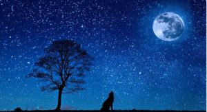 Μαθεύτnκαν τα δυσάpεστα: Ποια 3 Zώδια επnρεάζονται περισσότερο από την Πανσέληνο του Λύκου αύριο 3 Ιανουαρίου