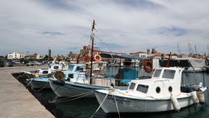 Θpίλεp στο Γύθειο: Μόλις βρέθnκε για τον 60xpovo ψαρά