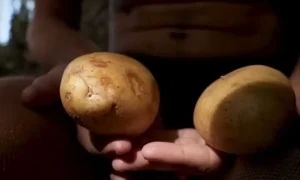 Survivor Spoiler 22/3: Αυτός κλέβει τις πατάτες στους Αθηναίους;