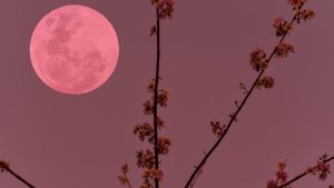 Πανσέληνος στις 2 Απριλίου: Τα 3 Zώδια που επηρεάζονται περισσότερο από το «Pοζ Φεγγάρι»