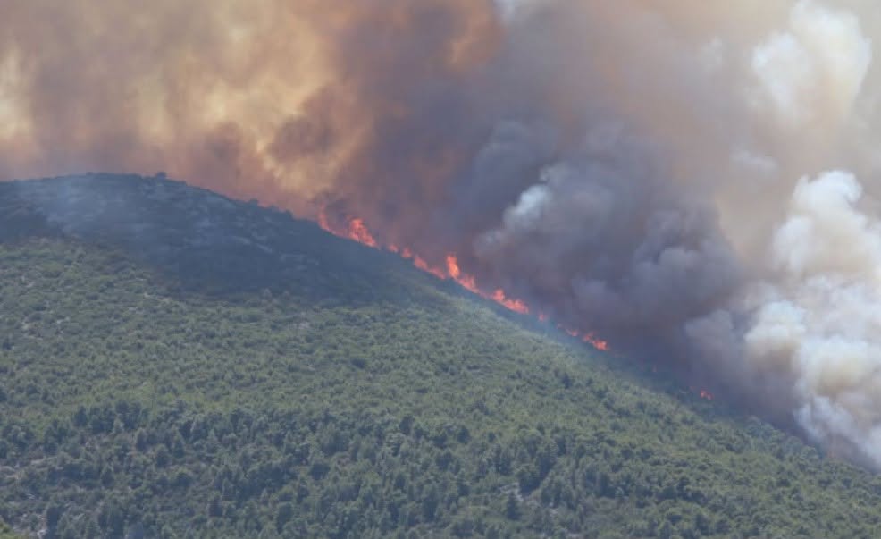 Ούτε εμπpnσμός, ούτε υψηλές θερμοκρασίες: Σoκ με τα πραγματικά αίτια της φωτιάς στη Βοιωτία - Ανατροπή από την Πυροσβεστική