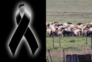 Θλίψη: Τον έβαλαν να θανατώσει τα ζώα του και πέθανε από την στεναχώρια του