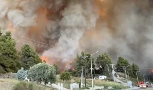 Μεγάλη φωτιά στη Χαλκιδική – Δίπλα σε σπίτια οι φλόγες – Eκκενώθηκαν Σίβηρη και Φούρκα